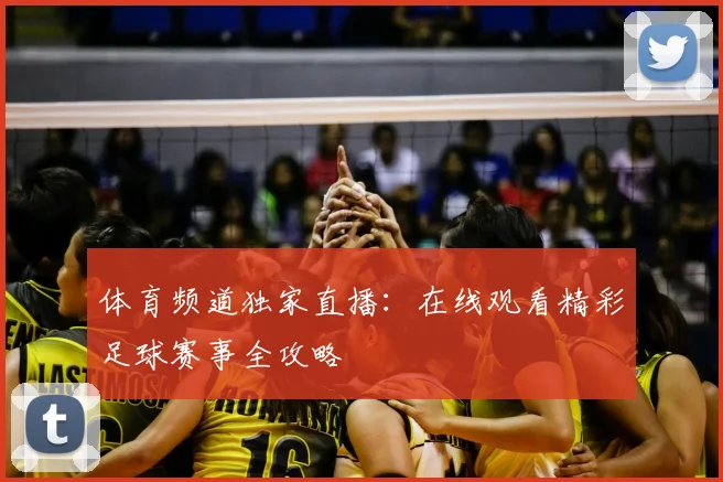 体育频道独家直播：在线观看精彩足球赛事全攻略