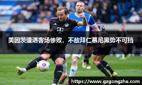 qy球友会