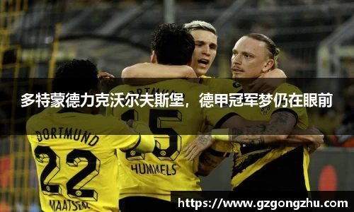 qy球友会体育
