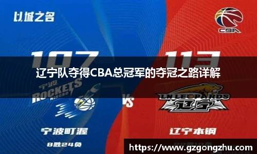 辽宁队夺得CBA总冠军的夺冠之路详解